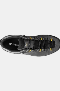Chaussure Alp Trainer 2 Gore-Tex