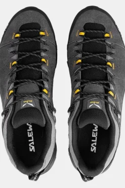 Chaussure Alp Trainer 2 Gore-Tex