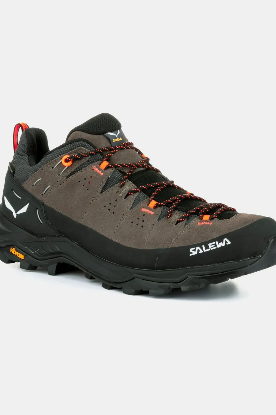 Chaussure Alp Trainer 2 Gore-Tex