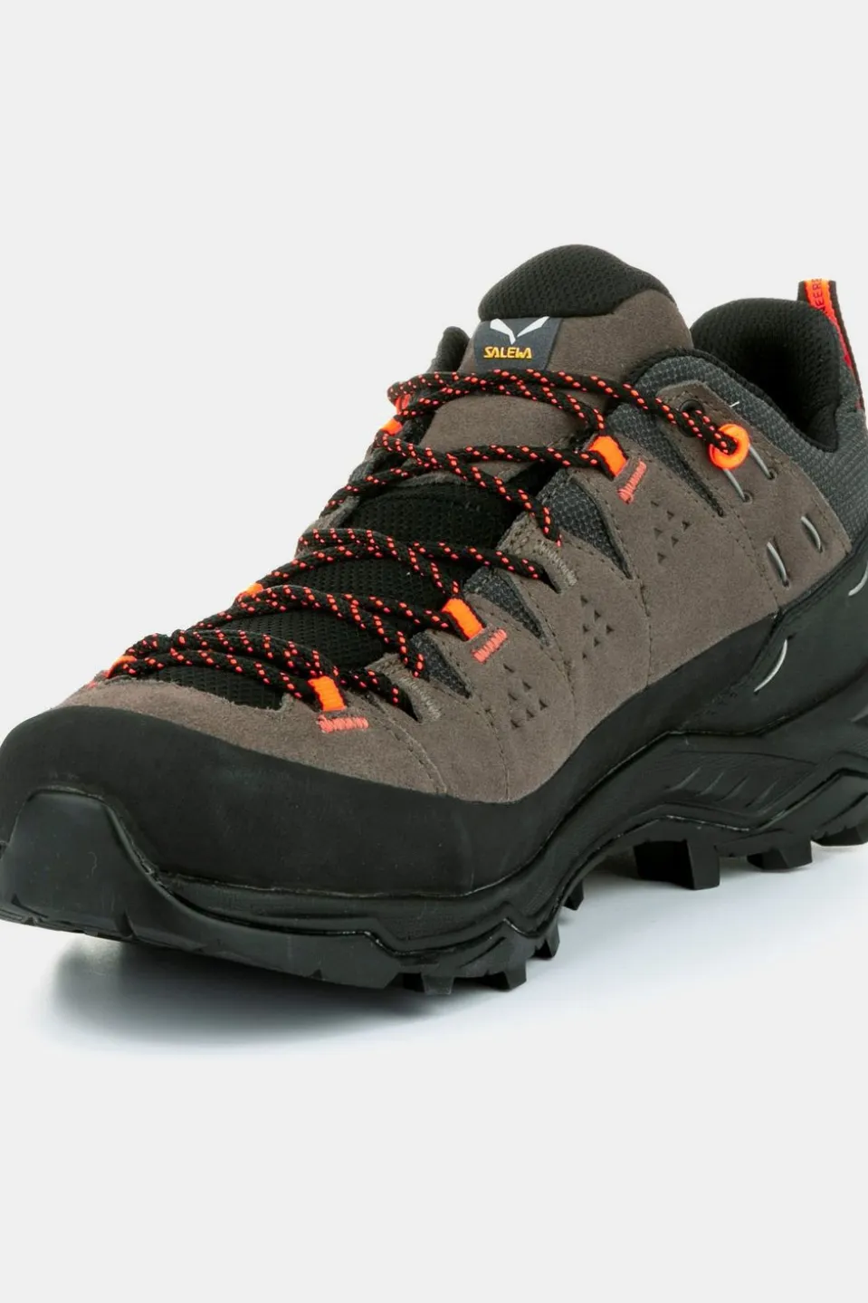 Chaussure Alp Trainer 2 Gore-Tex