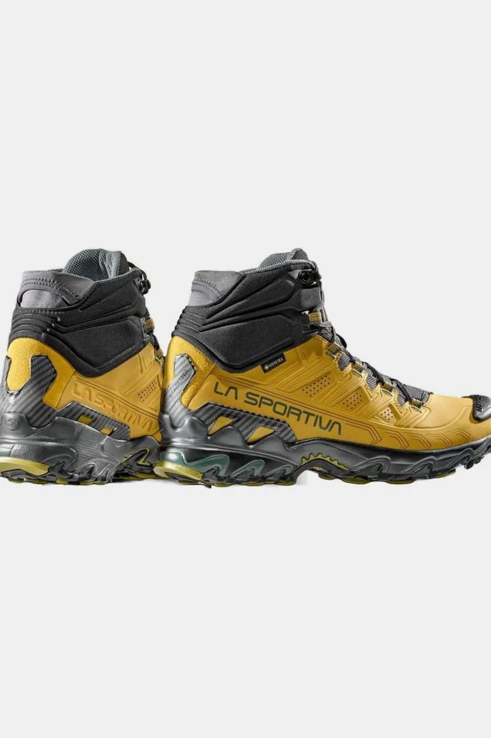 Chaussures De Randonnée Ultra Raptor Ii Mid Leather Gtx