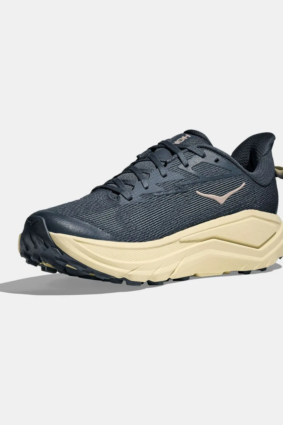 Chaussures De Trail M Challenger 8