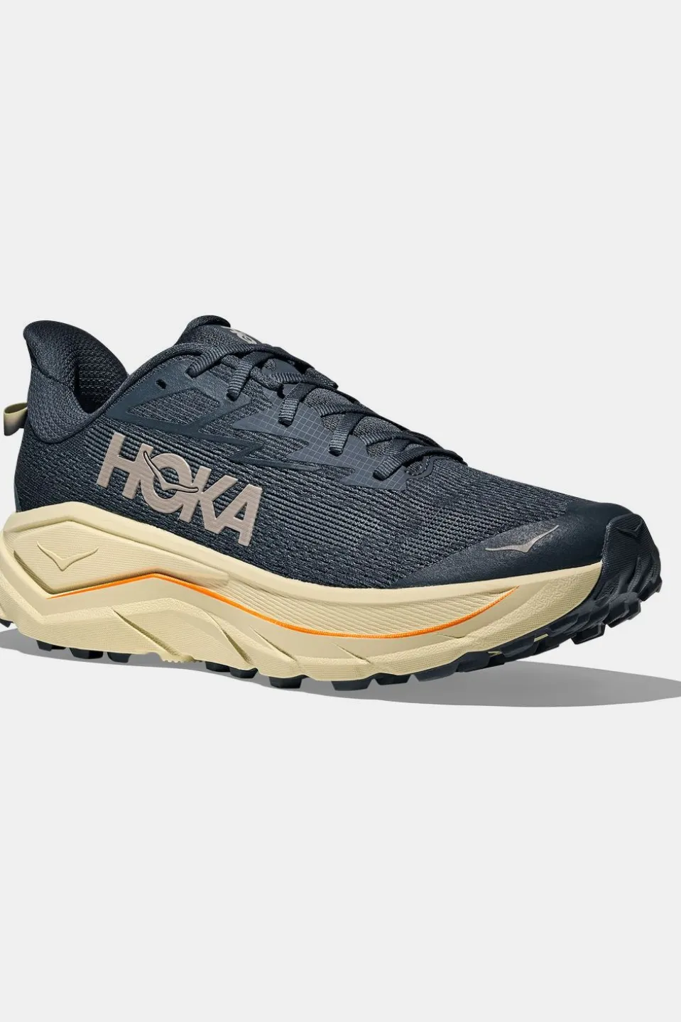 Chaussures De Trail M Challenger 8