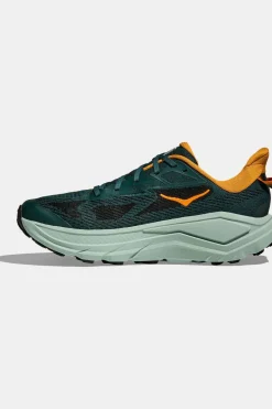 Chaussures De Trail M Challenger 8