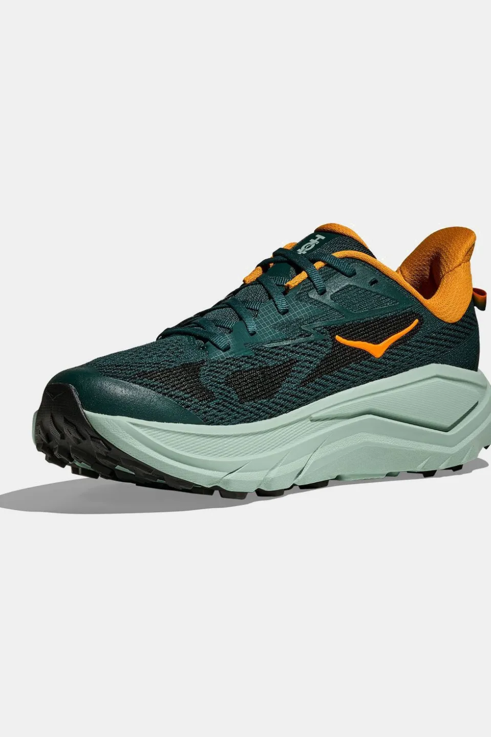 Chaussures De Trail M Challenger 8