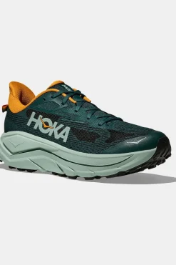 Chaussures De Trail M Challenger 8