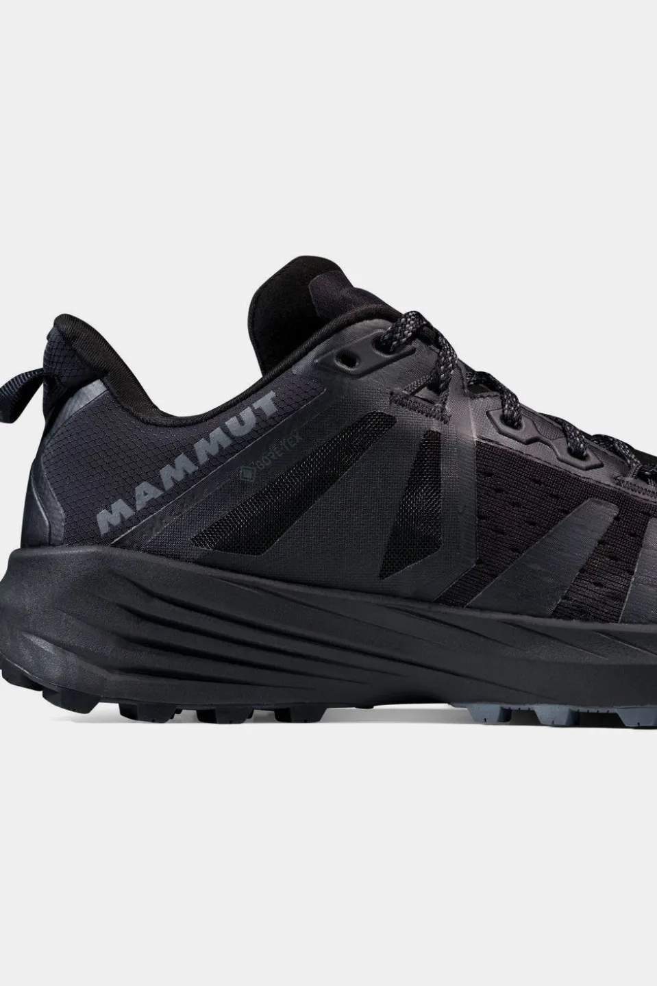 Chaussures De Trail Saentis Tr Low Gtx Women