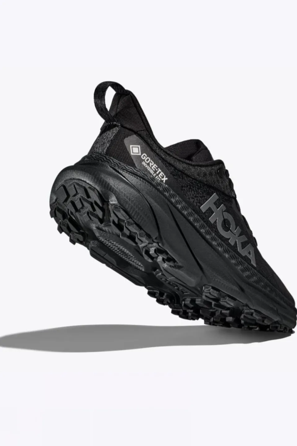 Chaussures De Trail W Challenger Atr 7 Gtx