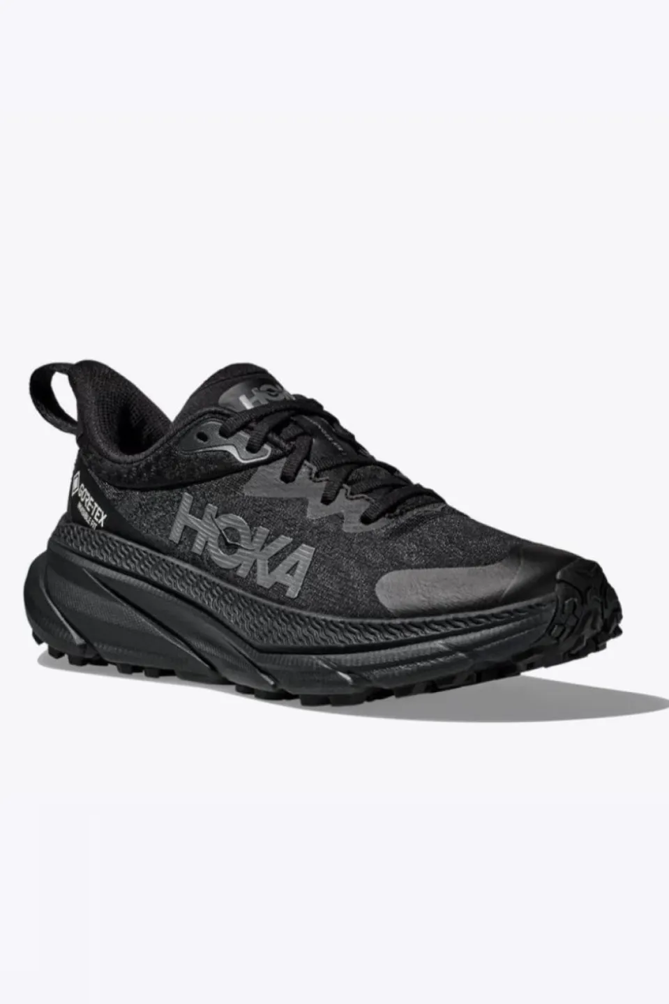 Chaussures De Trail W Challenger Atr 7 Gtx