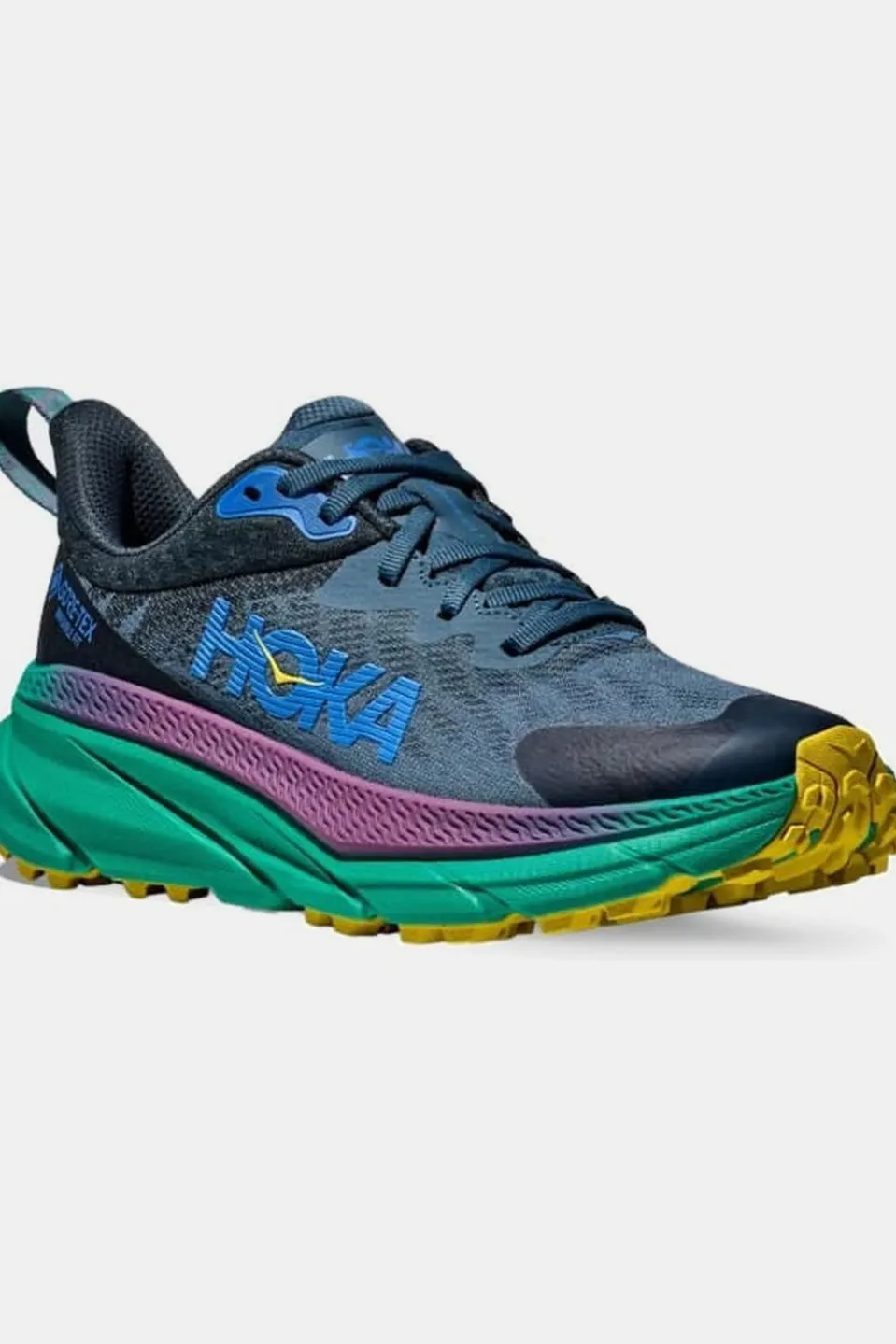 Chaussures De Trail W Challenger Atr 7 Gtx