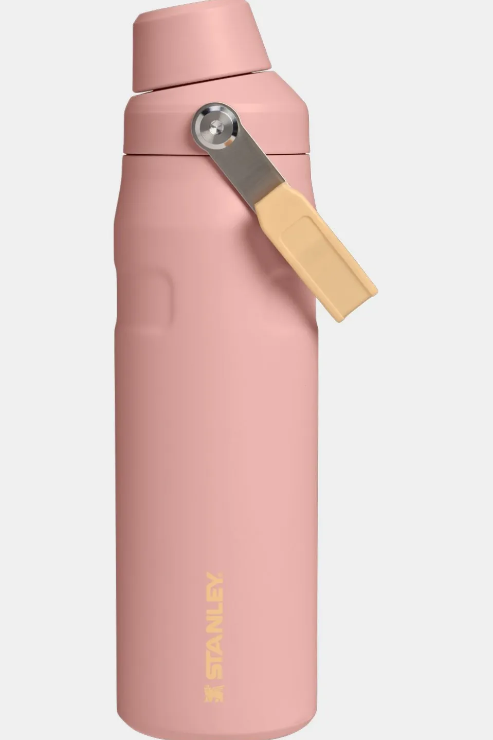 Gourde The Iceflow™ Bottle Fast Flow 0.7L