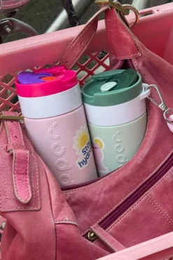 Gourde Travel Mug (300 Ml)