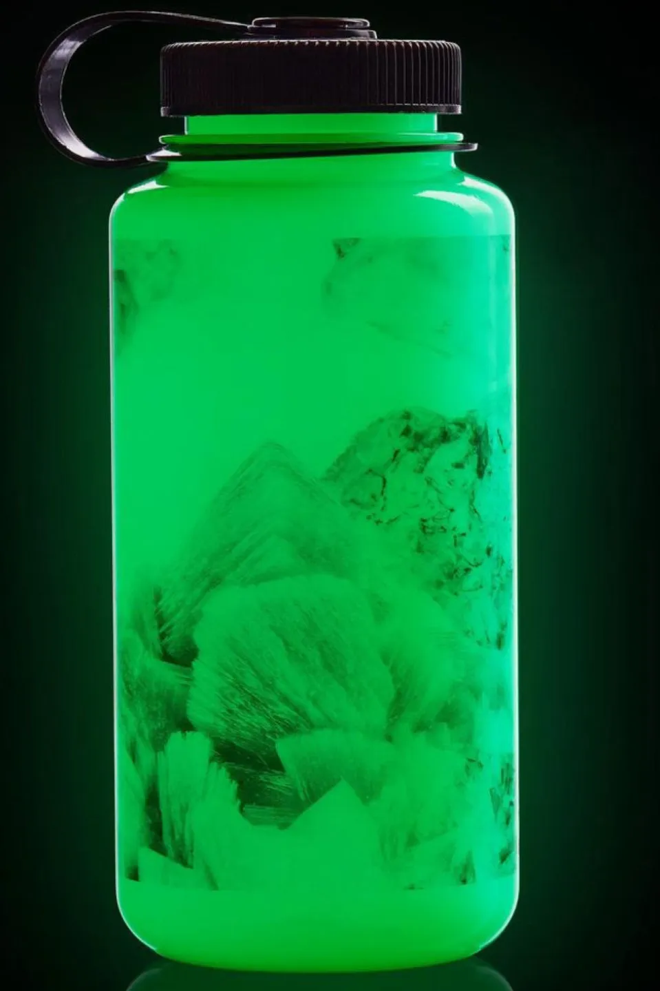 Gourde Wide-Mouth Sustain 1L