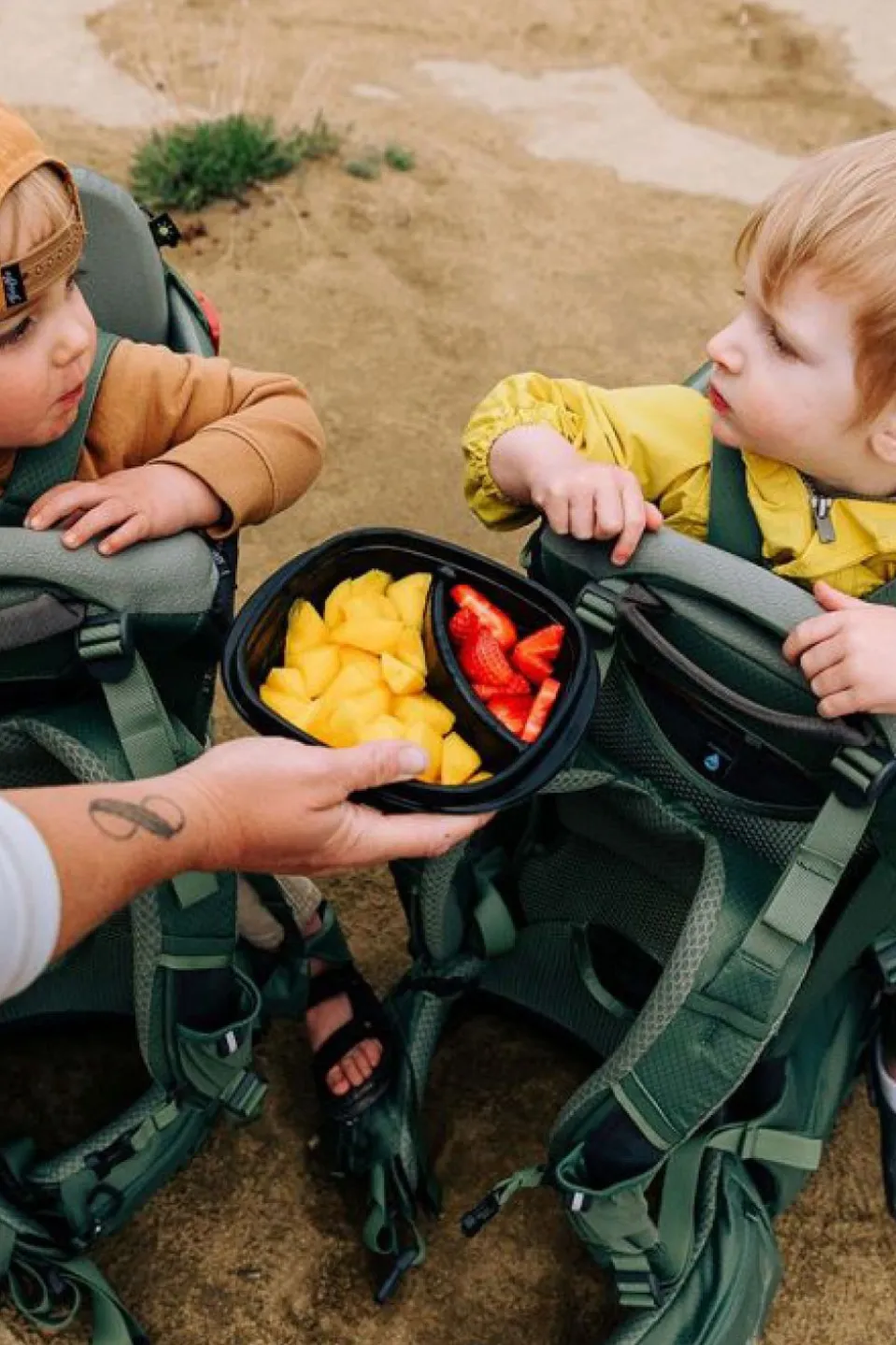 Porte-Bébé Poco Premium Child Carrier W/Rc