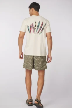 Short M All In
