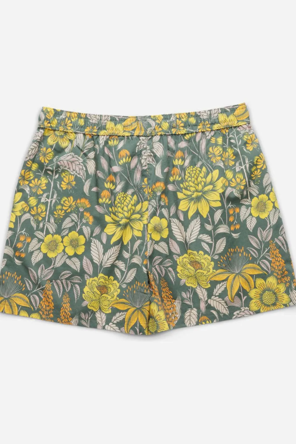 Short Nosara