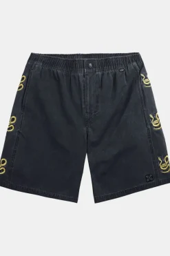 Short Sea Snake Volley