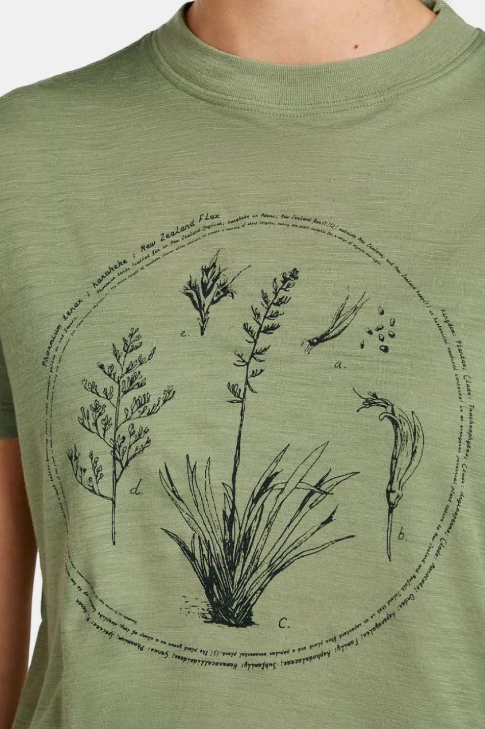 T-Shirt W Mer 150 Tech Lite Ss Crop T Seed Stor
